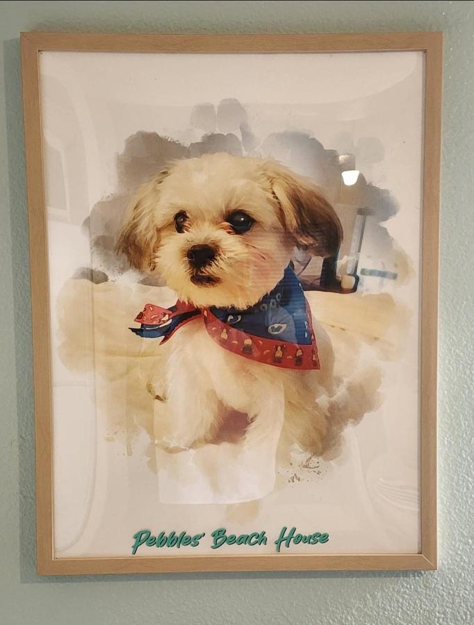 Pebbles' House * Edinburg